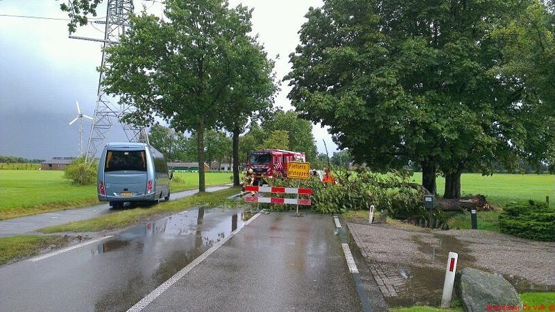 Boom over de rijbaan.